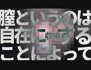 膣