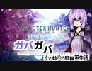 【mhwIB】ガバガバから始める狩猟笛生活