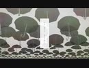 【初投稿】レディーレ 歌ってみた【龍星】