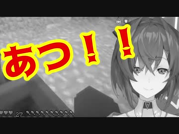 「さんばか」と「コースター」　【カワイーナ視点】