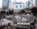 Pexels Videos 2697636　中田樹