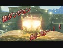 【実況】ゼルダの伝説 BREATH OF THE WILD　Part2【初見】