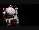 Pexels Videos 1795797　中田樹