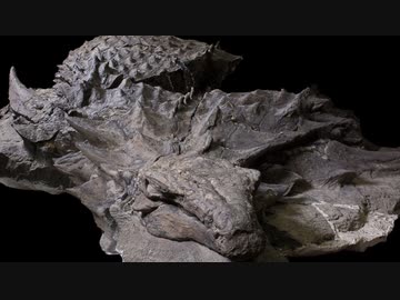 ゆっくりがもっと恐竜を解説すんよ～　第五回：ノドサウルス類