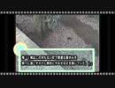 【アニメ】運がいいと思った日こそ不運に襲われる#4(男女の情緒を全部「恋」や「愛」という言葉で語るのは文字にするとしょうもなささが出てくるけど実際それが一番面白い説)