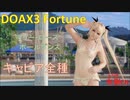 【DOAX3】マリーポールダンス（キャビア全種）