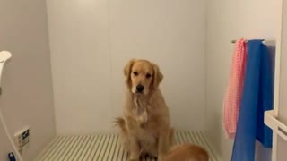 絶対に落とすなよ！絶対に！あ〜あwww