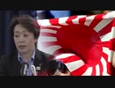 日本の橋本五輪担当大臣「極右」本性が...旭日旗の持ち込み問題ない JTBC