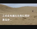 鳥取砂丘に行ってみた!