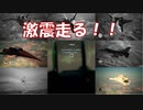 Ace Combat 7 Multiplayer324  バトルロイヤル  Su-37 + HPAA