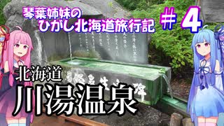 琴葉姉妹のひがし北海道旅行記 #4《川湯温泉編》温泉、オホーツク、そして・・・