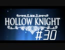 【実況】一寸の虫にもめちゃくちゃ魂あるやん【Hollow Knight】 part30