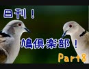 日刊！鳩倶楽部！Part8