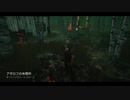 【DBD】キラーでランク１を目指す【Part11】