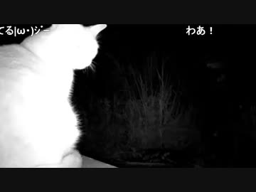 あずきの母親か？　深夜の来客①