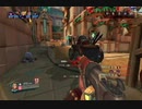 【PALADINS】初心者達なりの激戦Part2