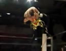 長与千種 VS 山田敏代 GAEA
