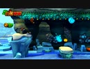 【DKトロピカルフリーズ初見実況】どたばた放浪記part33