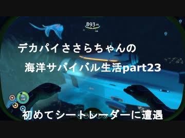デカパイささらちゃんの海洋サバイバル生活part23　初めてのシートレーダーに遭遇