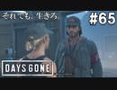 #65【DAYS GONE】感動？衝撃？訪れる再会の時。【ゆっくり実況】