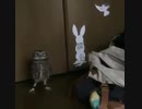 何この頼れる助っ人感www