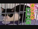 ポンタの家猫入門
