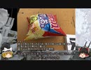 【ゆっくり解説】宇宙服が大ピンチ！　宇宙服歴史解説前半