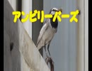 『アンビリーバーズ／米津玄師』 【Off Vocal】メロディー有り