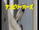 『アンビリーバーズ／米津玄師』 【Off Vocal】メロディー無し