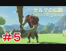 ゼルダ初心者とガチ勢のほのぼの伝説【ゼルダの伝説ブレスオブザワイルド実況：part5】