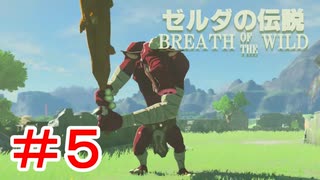 ゼルダ初心者とガチ勢のほのぼの伝説【ゼルダの伝説ブレスオブザワイルド実況：part5】