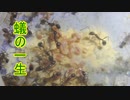 【ありの飼育記#50】蟻の一生【アシナガアリ】Life of an ant