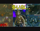 【趣味】拙いですがパンツでマスターになる【ゼルダの伝説ブレスオブザワイルド】pants91