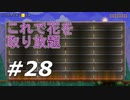 【実況】凄い家を造りたくて【PC版テラリア】Part28