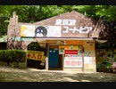 撮ってきた動物写真を公開してみる その4