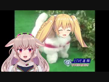 愛犬ロボ「ごん」を売りさばこうとするもこ田めめめwith金剛いろは