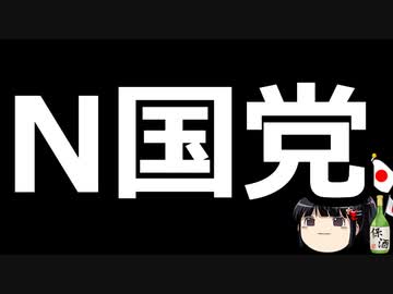 N国党立花氏の動画について