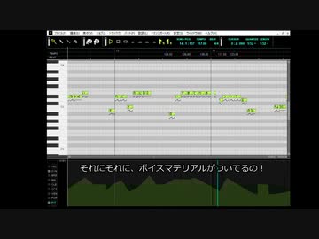 ギャラ子宣伝？動画