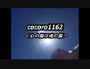 cocoro1162心の傷は魂の傷