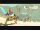 10匹のリザルフォス大群にカチコミする英傑