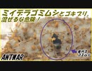【テラフォーマー再現】ミイデラゴミムシを100匹のゴキブリの中に入れると・・・。【混ぜるな危険】