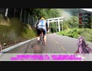 【ロードバイク車載】結月ゆかりのお散歩サイクリング part7 石鎚山ヒルクライム【VOICEROID車載】