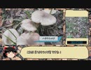 【RTA】きのこ狩り2019　ハタケシメジ編　1:16:06