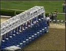 [海外競馬]　第126回 ベルモントS Tabasco Cat