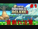 比較的協力できない音割れマリオ【New スーパーマリオブラザーズ U デラックス】