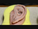 【ASMR】耳が気持ちよくてついつい寝てしまう砂まみれマッサージ【音フェチ】