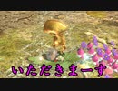 【実況】ピクミンの始まりはいつも同じパターン30日目【ピクミン3】
