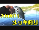 入れ食い！メッキ釣り