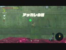 【ゼル伝BotW】100年の眠りから目覚めた勇者の冒険９７【もちまる】