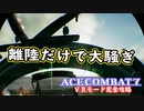 【エースコンバット７】まったりブルー VR編 Part 3【実況】【おまけ】